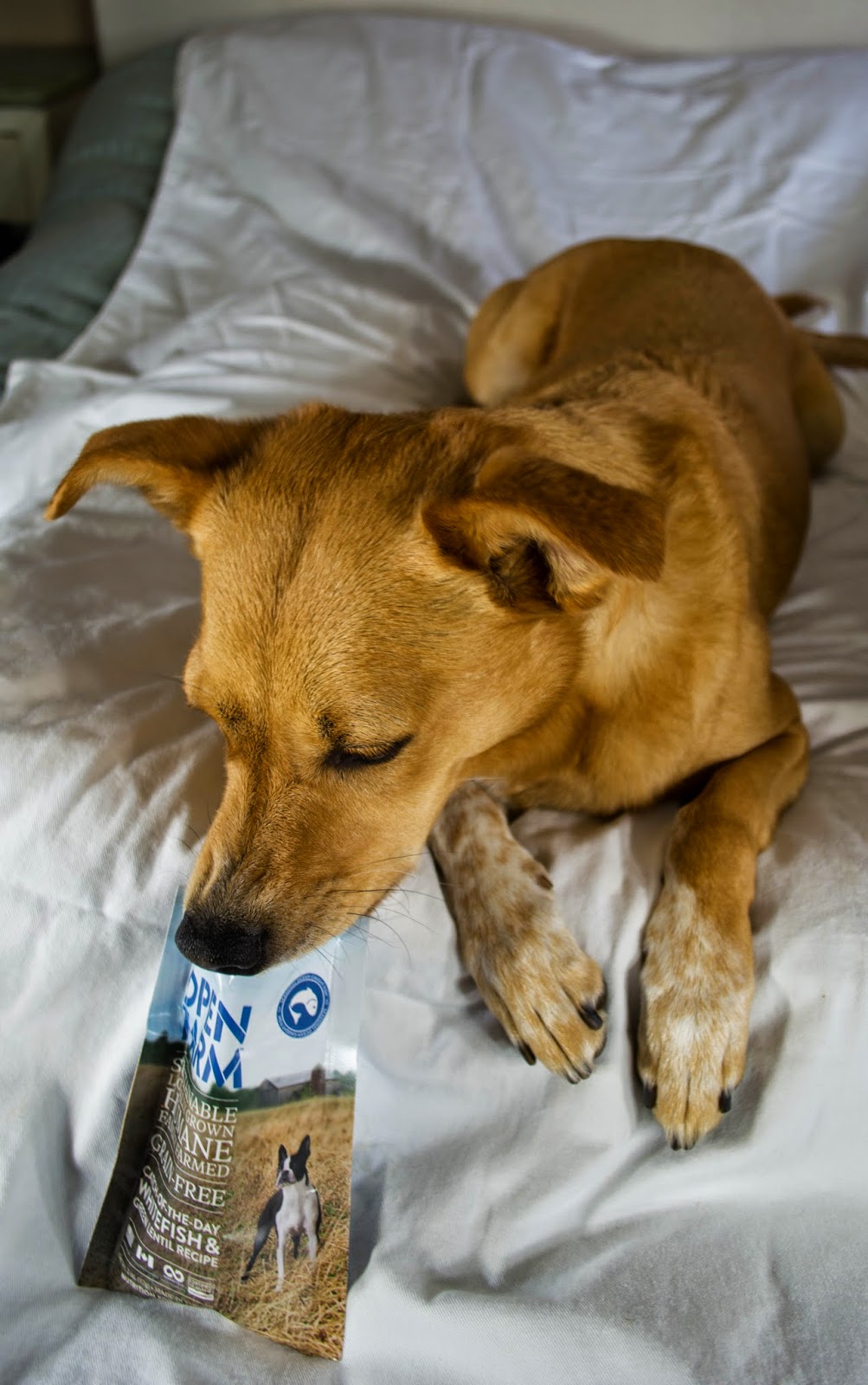 ZoePhee Open Farm "Ethically Raised & Sourced Dog Food"