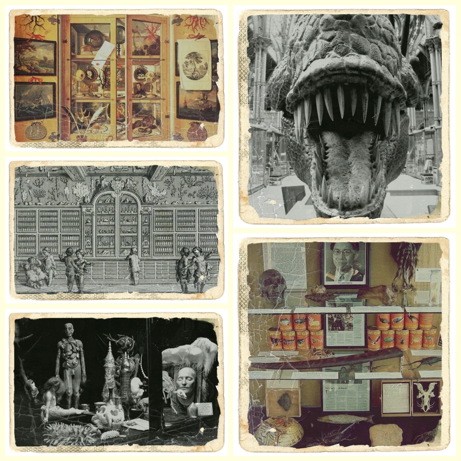 BettyBundyland: Gabinete de Curiosidades