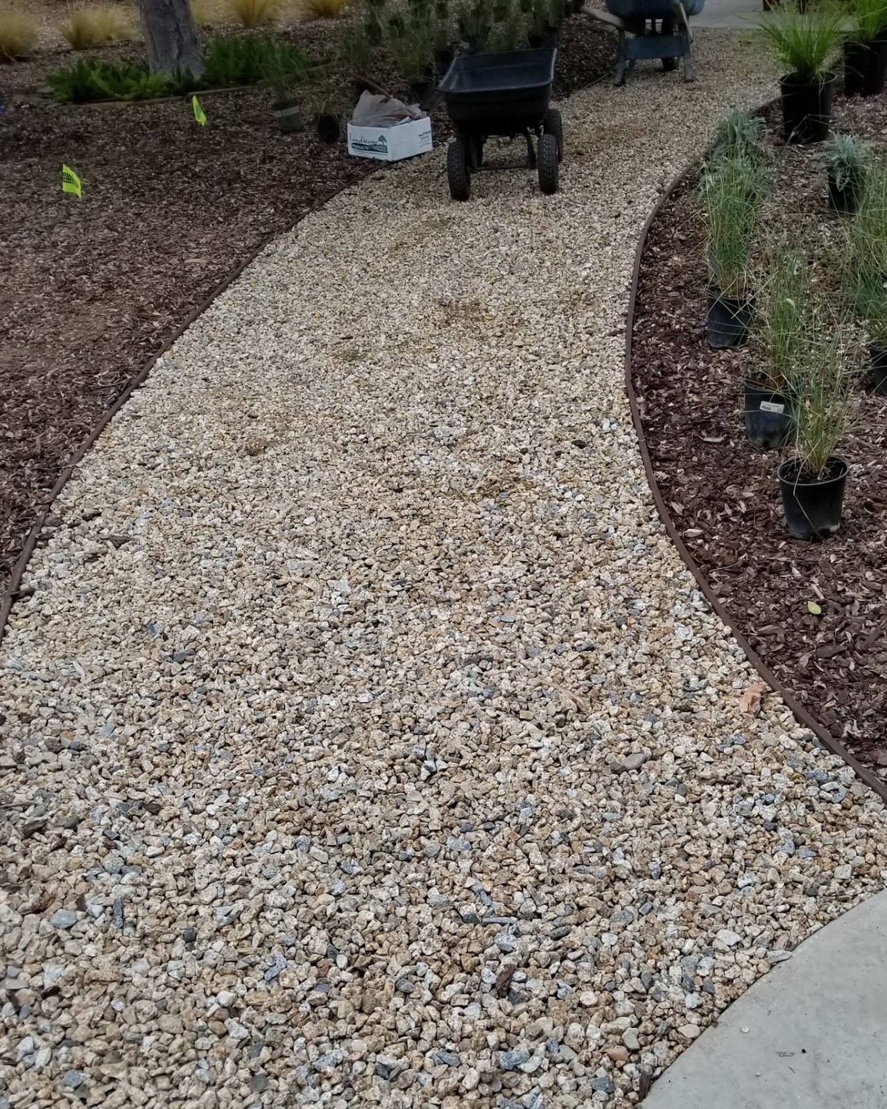 The 2 Minute Gardener Photo Crushed Granite Walkway