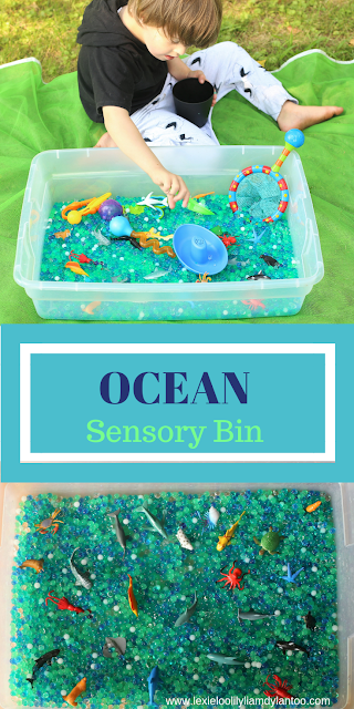 Ocean Sensory Bin