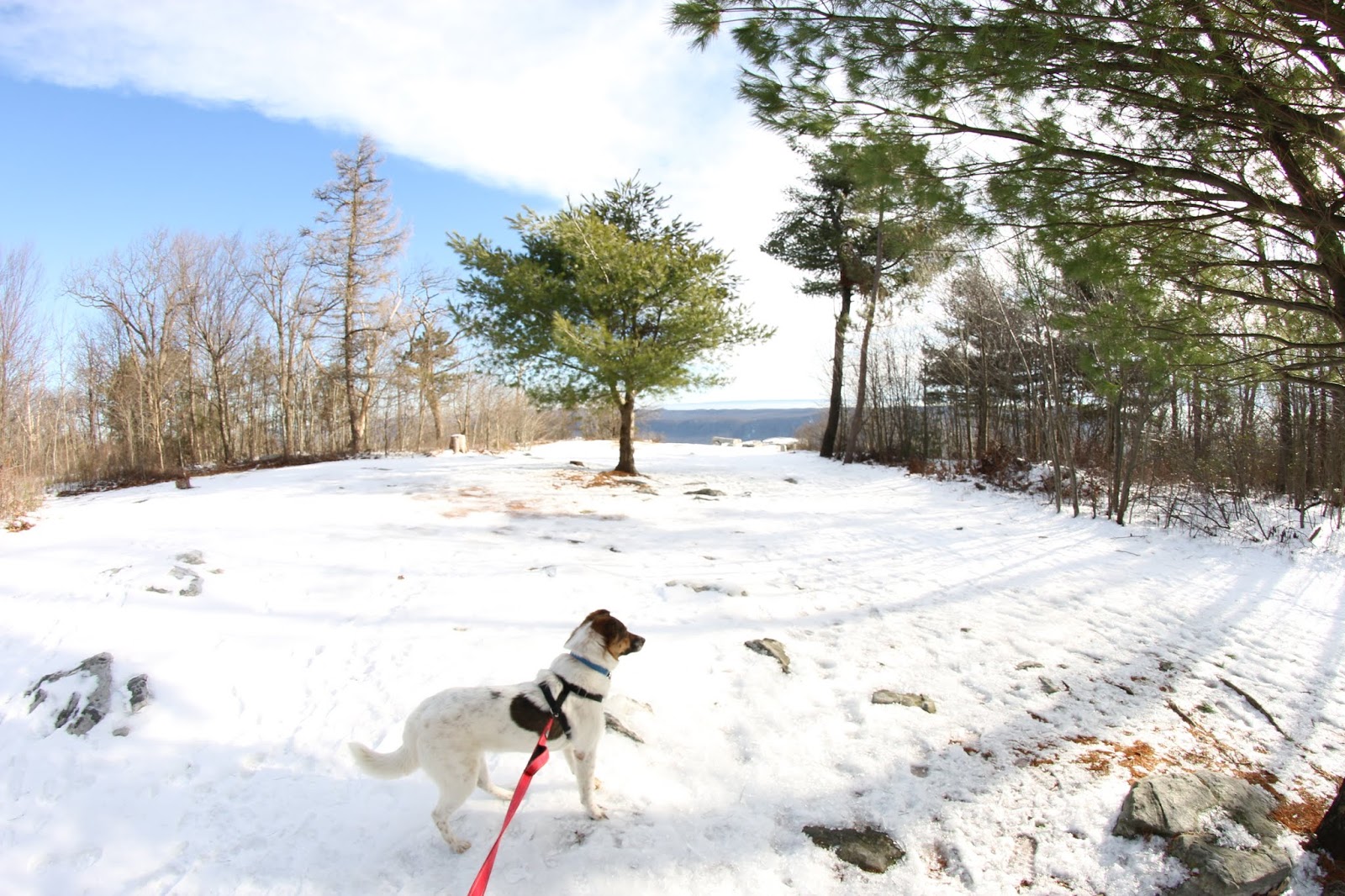 The Stunning Big Mountain Overlook, Tower Road Vista, Fort Loudon, PA