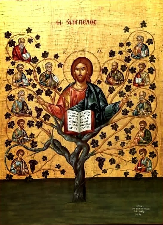 The Message I am the vine, you are the branches homily for the 5th