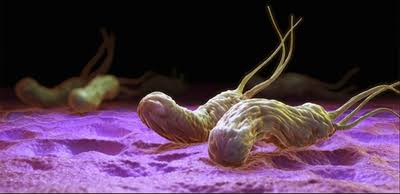 طرق الوقاية