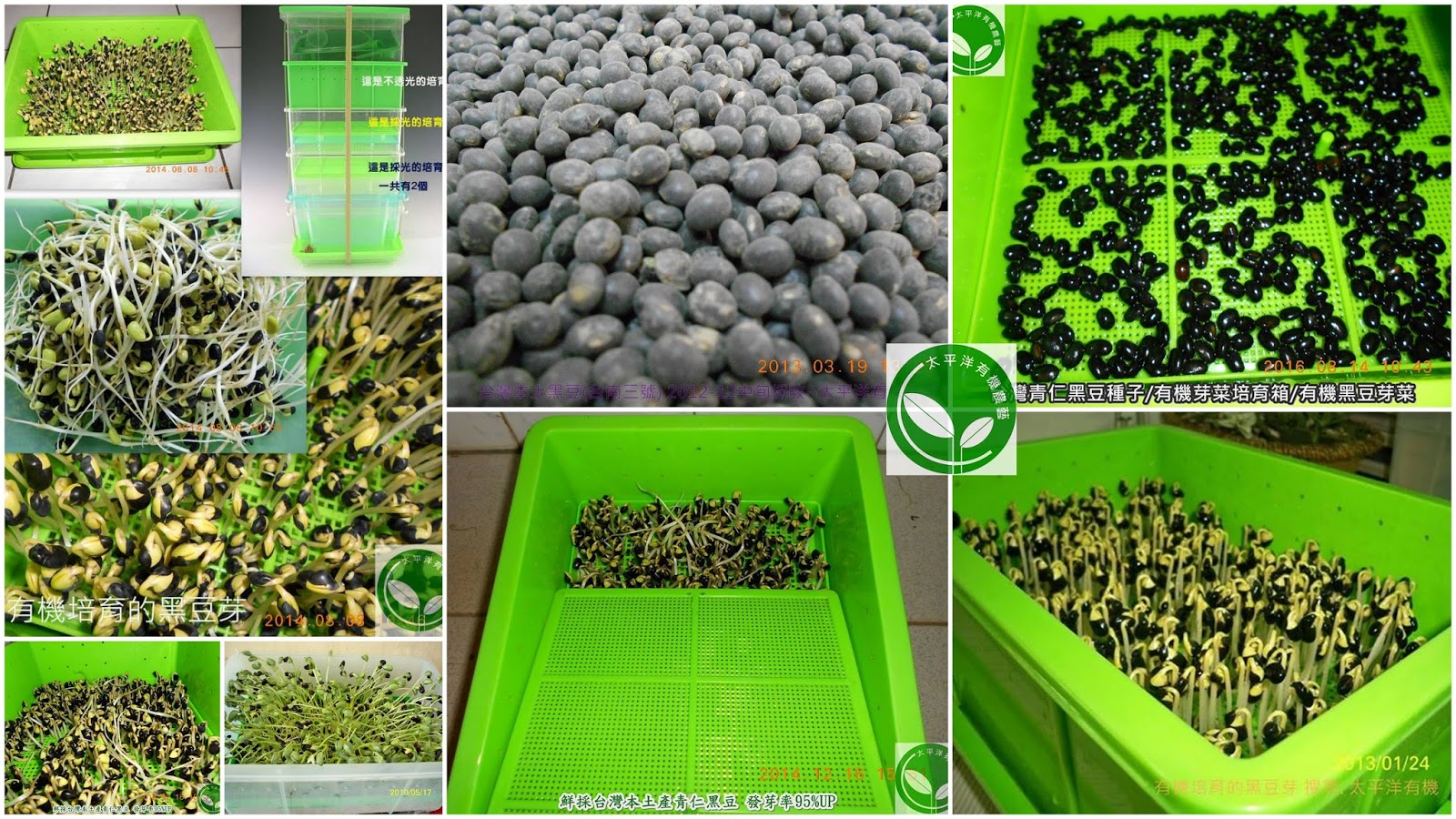 �¨�,�¨���Ϊk,����l�ܪ��¨���,�¨��s�s�@��k,�¨������N�k,�¨��s�ʶR,�¨��l,�¨�����,�¨���,�¨����N�k