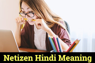 Netizens meaning in hindi