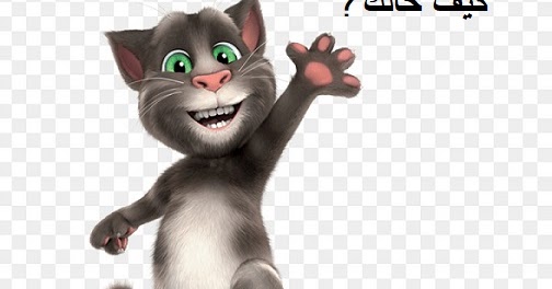 Bahasa Arab Apa Kabar Dan Jawabannya Belajar Bersama