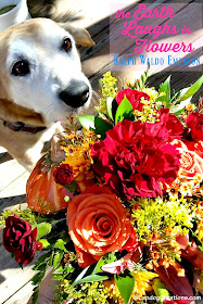 senior hound dog smelling flowers