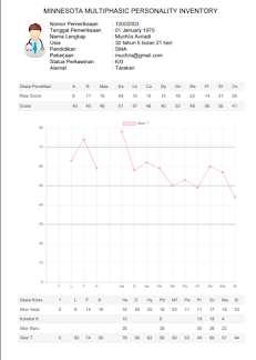 tes mmpi online