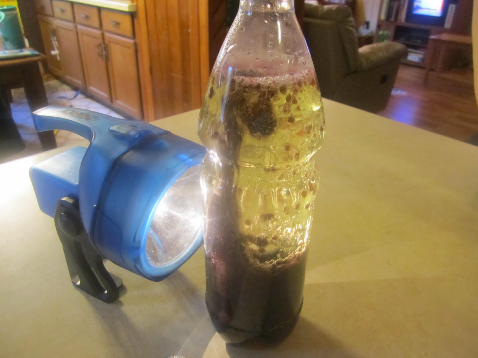 What The Hands Can Do Homemade Lava Lamps