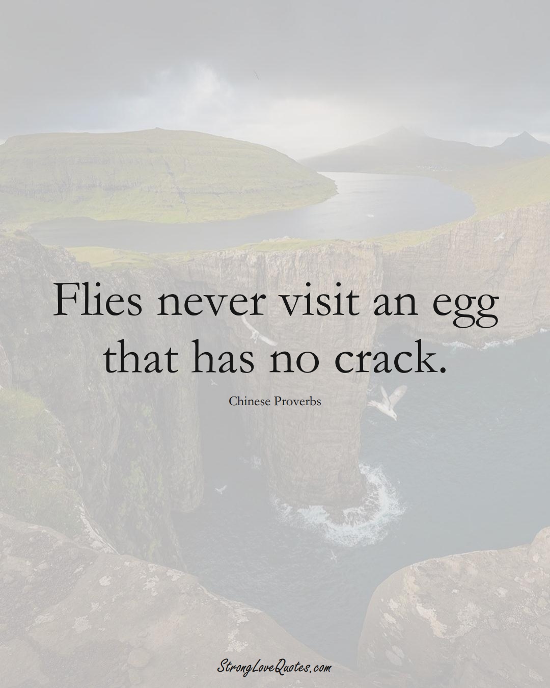 Flies never visit an egg that has no crack. (Chinese Sayings);  #AsianSayings