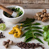 Βότανα χρήσιμα για δίαιτα (diet herbs)