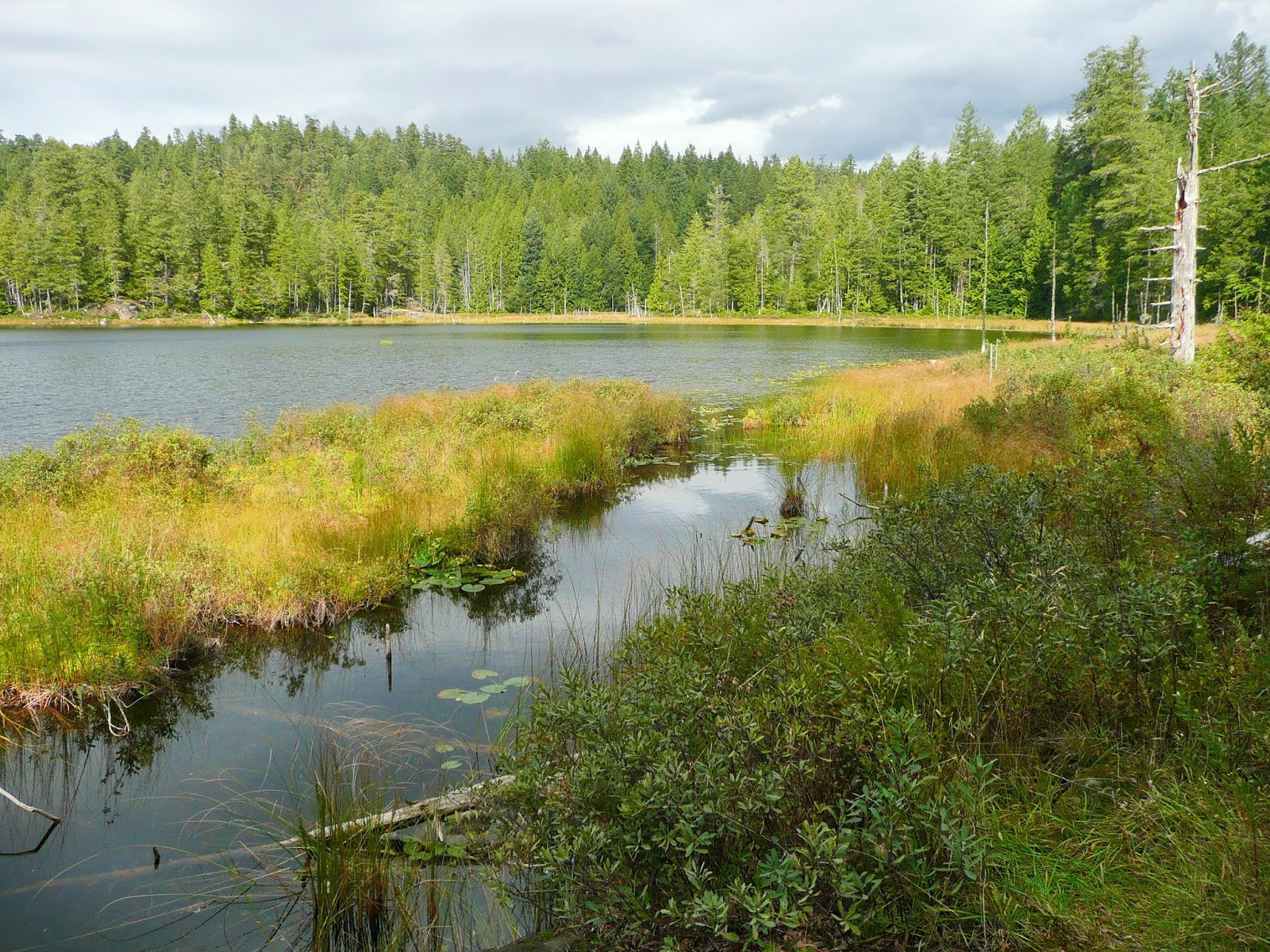 S.V. CAMBRIA Grace Harbour, Desolation Sound Marine Park