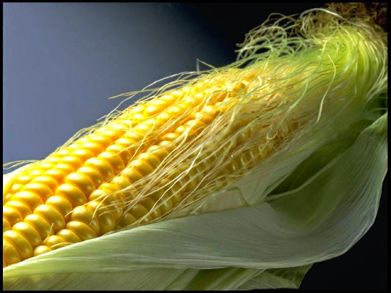 is corn good for your kidneys