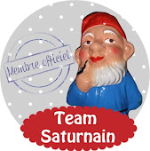 Saturnain, l'E-Fluent Nain !!!