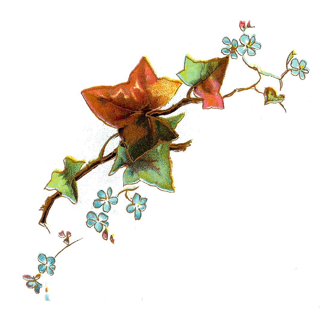 clipart flowers and leaves - photo #2