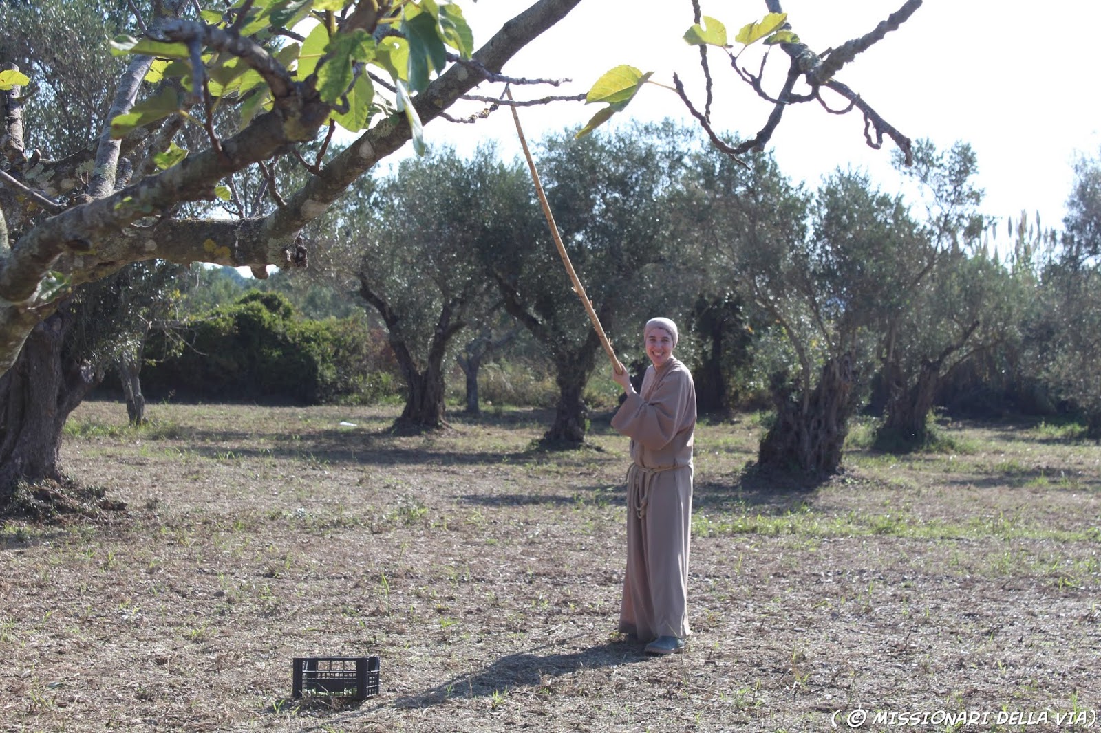 Missionarie Della Carità Sito Ufficiale Blog dei Missionari e Missionarie della Via: ottobre 2019