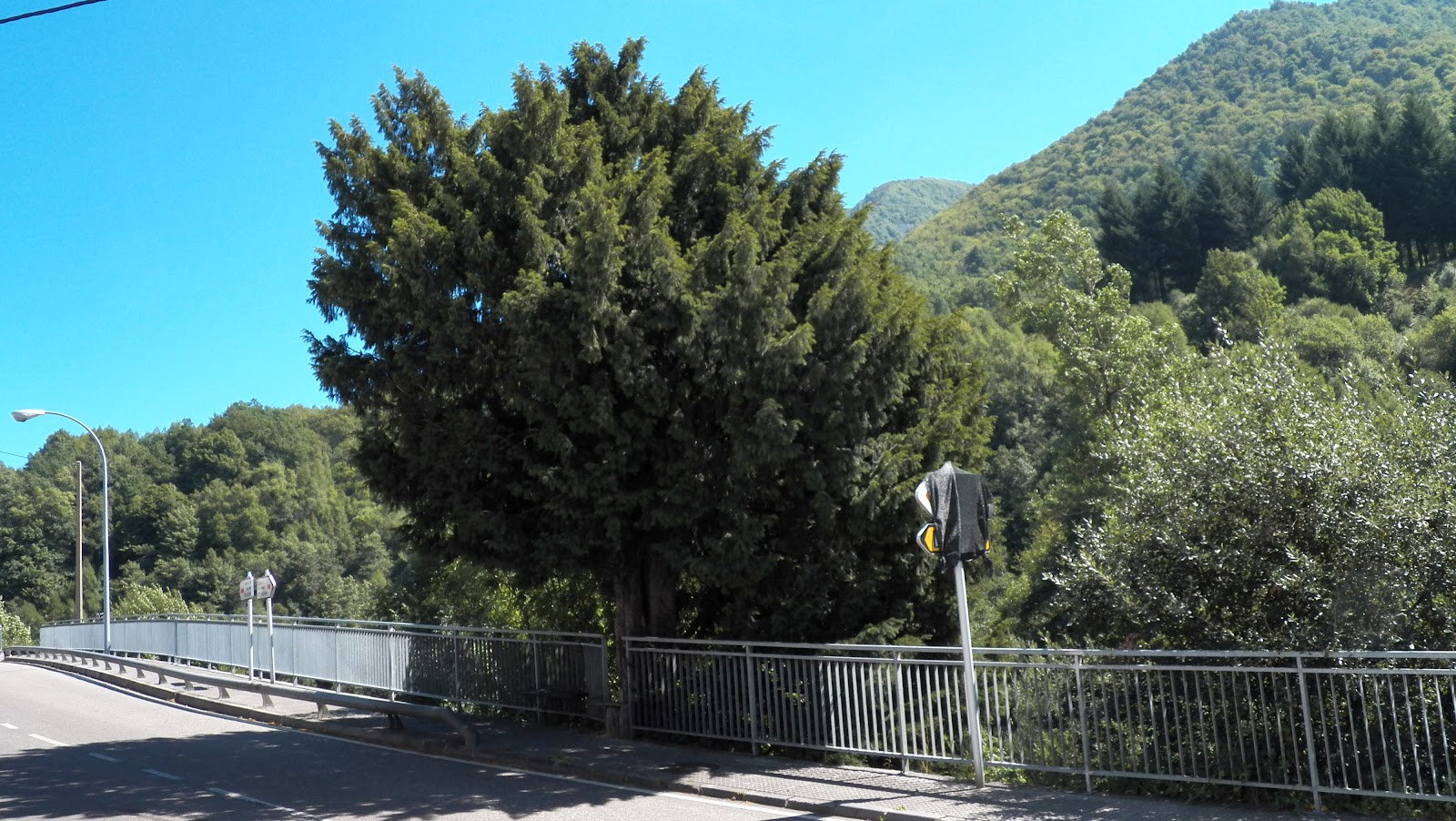 MIS TEXOS Cerredo (Zarreu) DEGAÑA.