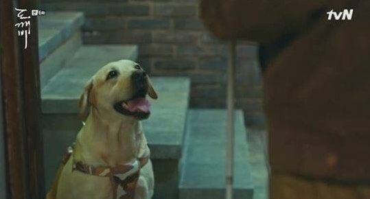 이 이미지는 대체 속성이 비어있습니다. 그 파일 이름은 20210511160538.png입니다