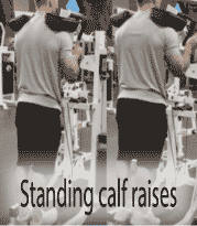 Standing calf raises