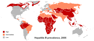 Hepatit B'nin dünyadaki dağılımını gösteren bir çizim