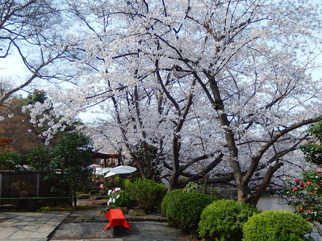 �߉������{�����r�̍�