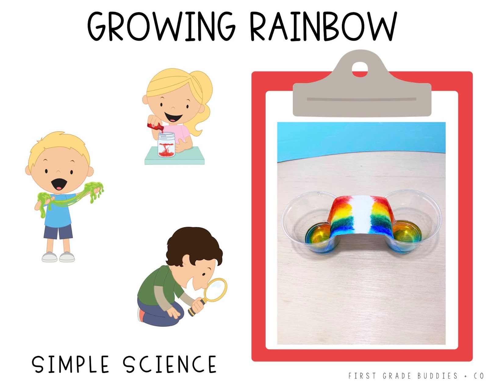 Simple Science Growing Rainbow First Grade Buddies