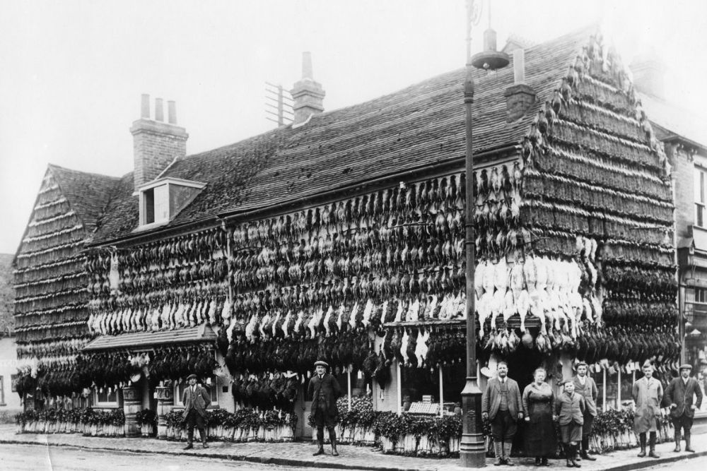 In the Days Before Fridges Amazing Vintage Photographs Show Butcher