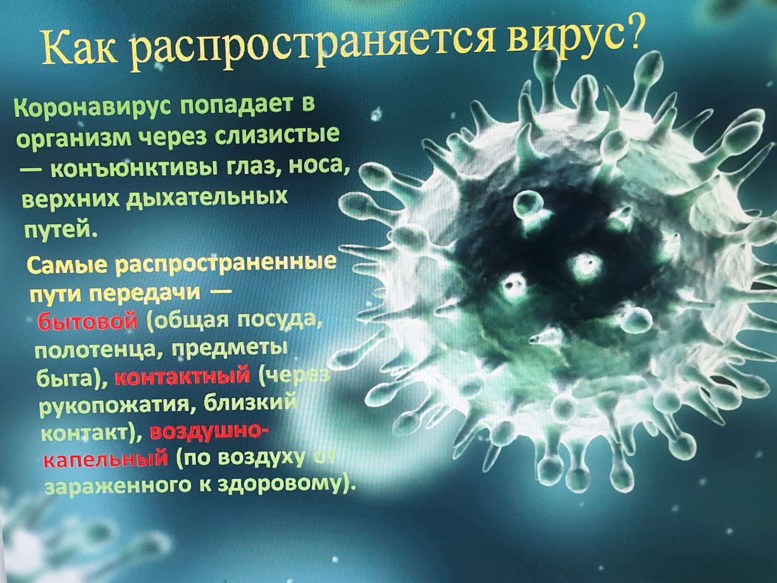 Коронавирус полном. Вирус. Вирусные заболевания коронавирус. Современные вирусы. Коронавирус картинка вируса.