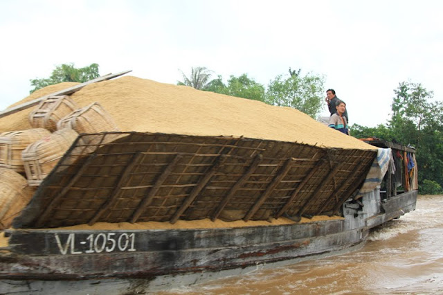 Viajar no DELTA DO MEKONG de forma independente | Vietname