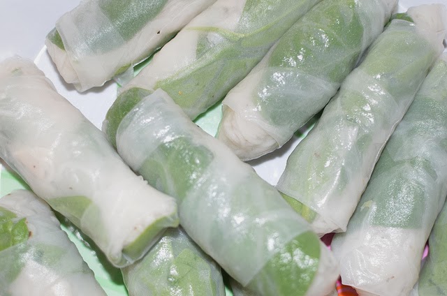 Vegetarian Spring Rolls