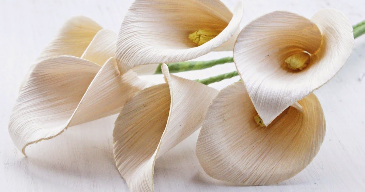 Tips Cara Membuat Kerajinan Bahan Dasar Kulit Jagung Agar Awet Tips Cara Membuat Kerajinan Bahan Dasar Kulit Jagung Agar Awet