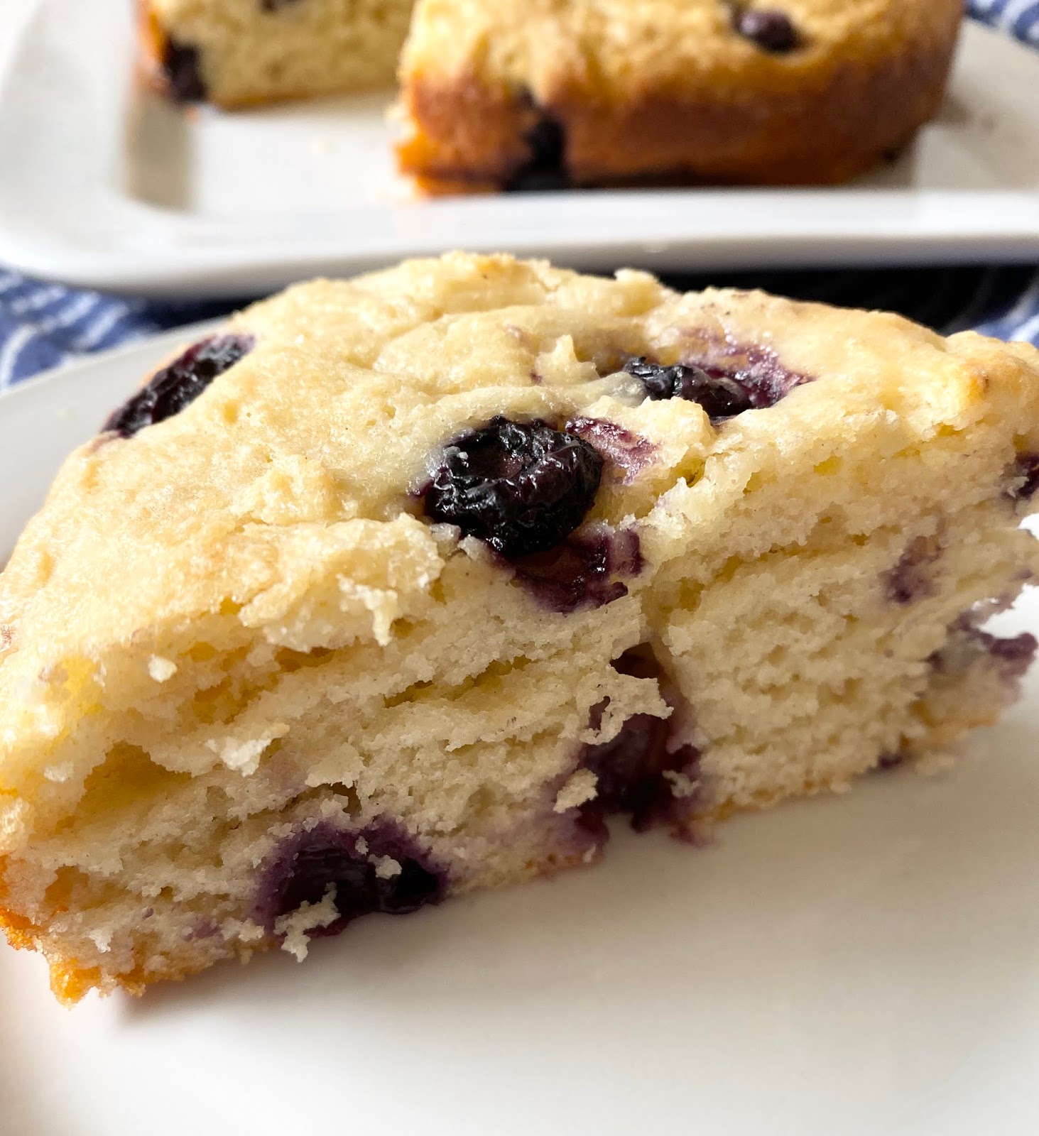 Blueberry Yogurt Breakfast Cake Ally's Sweet & Savory Eats