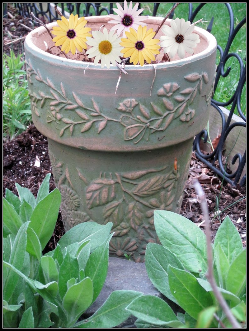 Repurposed Bird Bath Garden Planter