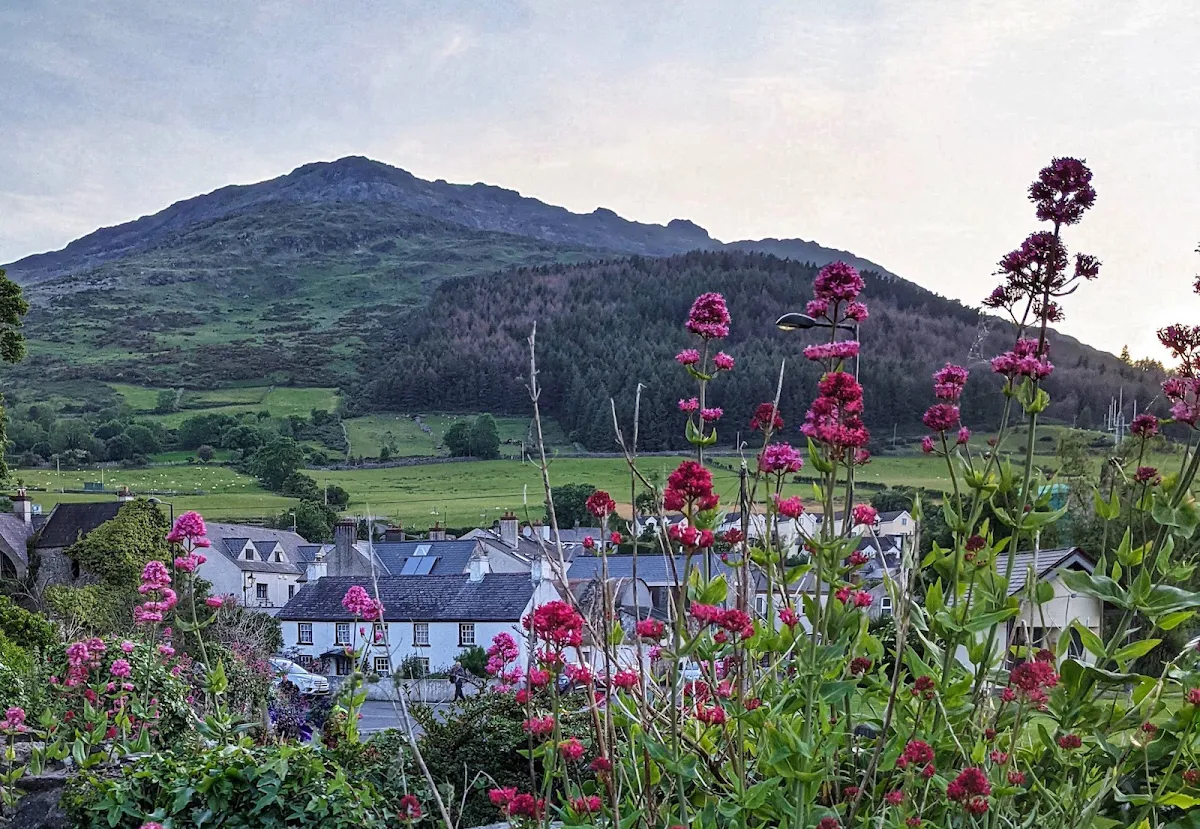 How to Plan the Best Road Trip to Carlingford Lough from Dublin
