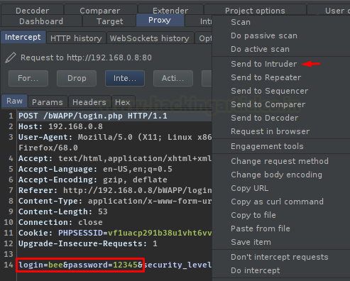 Burp Suite Fuzzing with Intruder