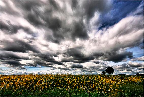 Mobile Wallpapers - Wallpapers:Download Wallpaper