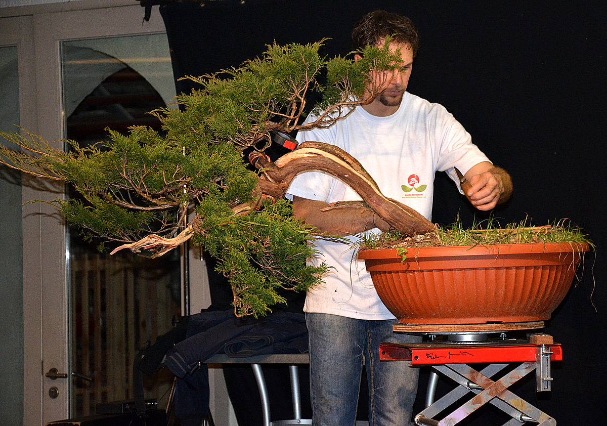Bonsai Living Art Noelanders Trophy 2012 Demo by Mauro Stemberger