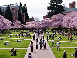 University of Washington   (Seattle, WA, USA)