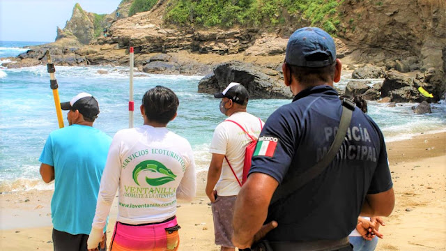 Reportan avistamiento de cocodrilo en playa de Tonameca