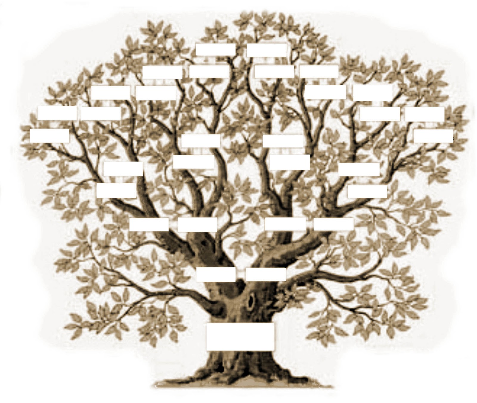 Marquepages Généalogie