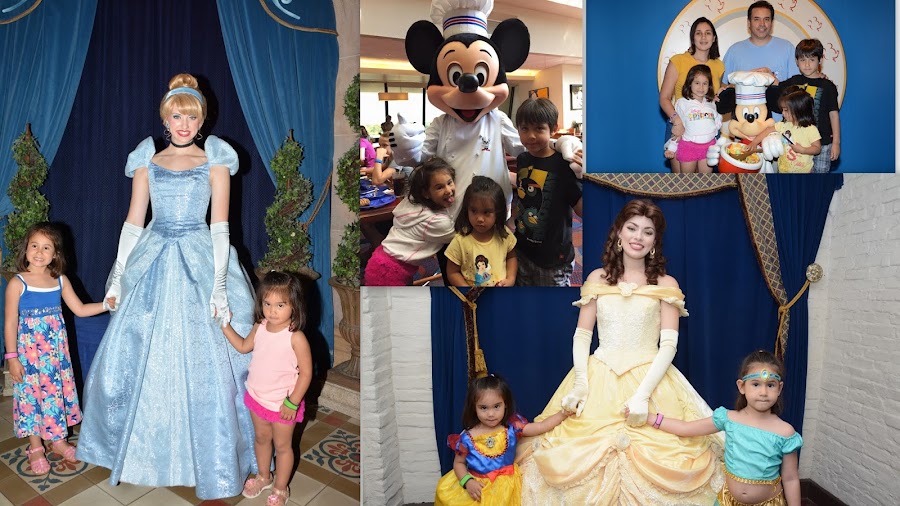 Disney World princess and Mickey Mouse Collage