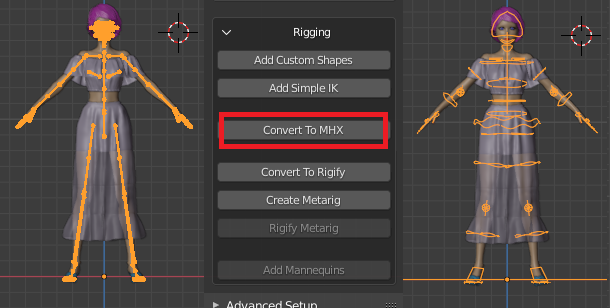Diffeomorphic: Rigging Section