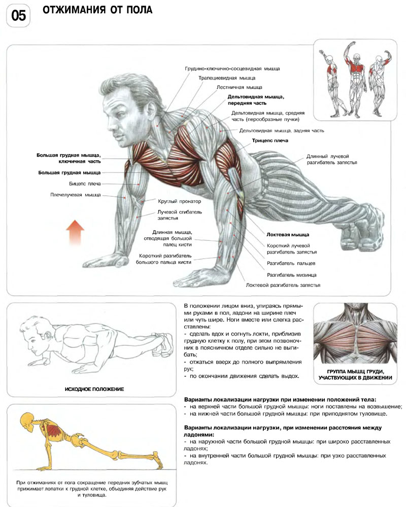 ����������� ��������� + ������ ��������: ����.