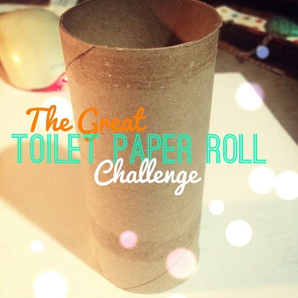 My Craft Channel Mar. 15th The Great Toilet Paper Roll Challenge