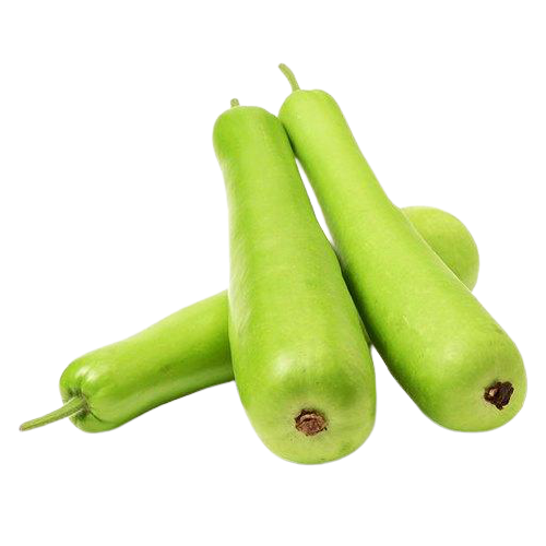 Bottle Gourd/ Lauki/Dudi Health benefits, application, chemical