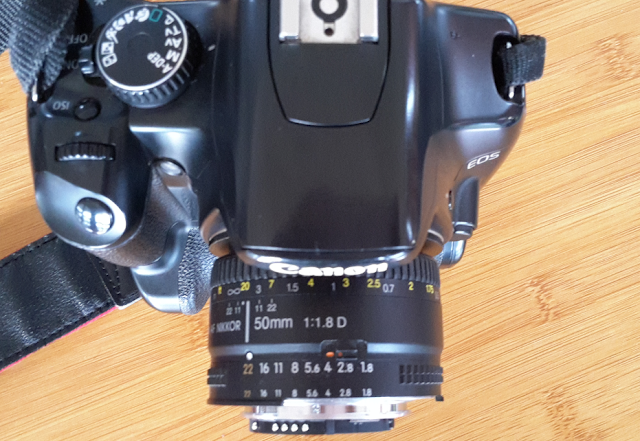 memasang lensa dibalik menggunakan adapter untuk memotret makro