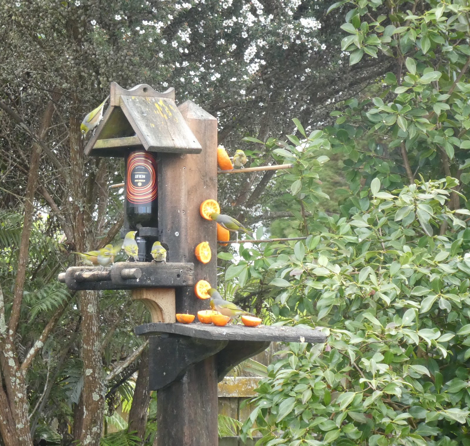 Kamo Lady Birdlife Sugar Syrup Feeder