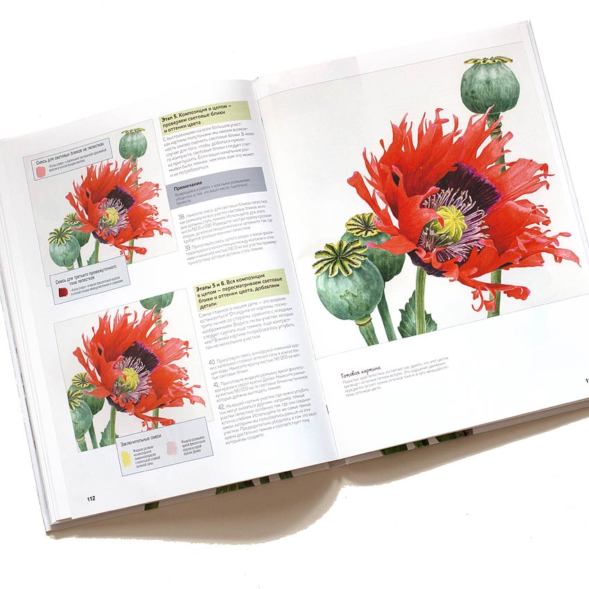 Начинающая ботаника. Книга дарит Вдохновение рисунок. Дизайну для опытных книга. Волшебный мир Анны Мэйсон. Книга.