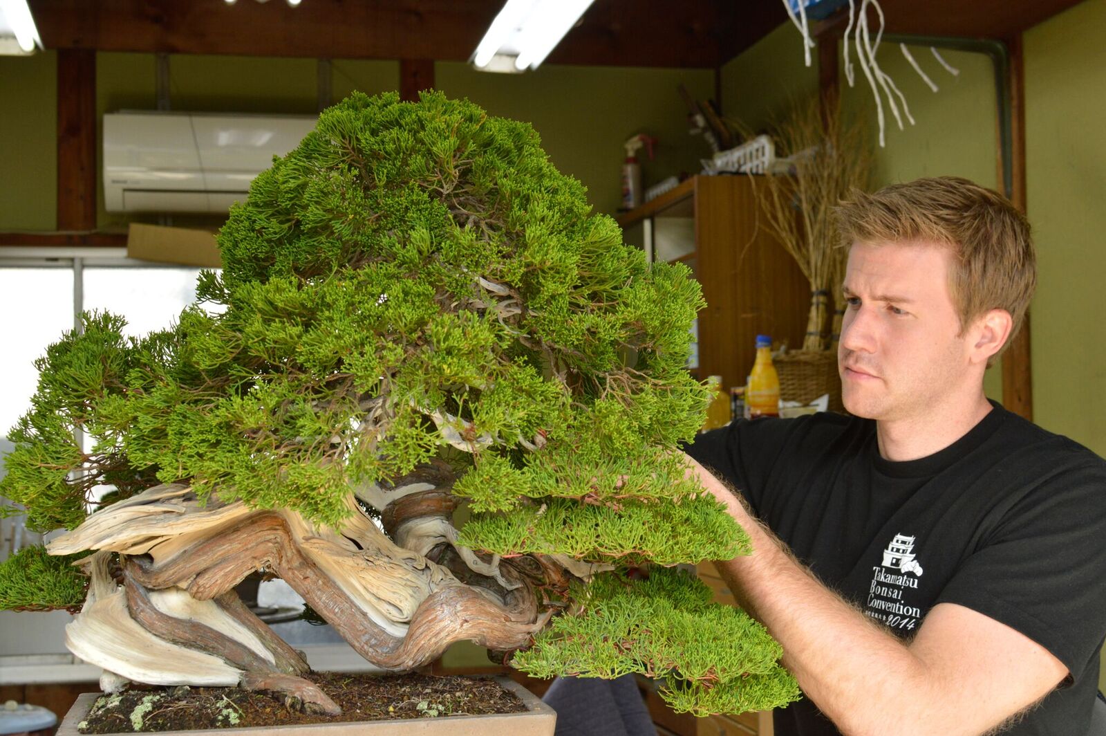 Walter Pall Bonsai Adventures Bonsai Intermediate Course online now