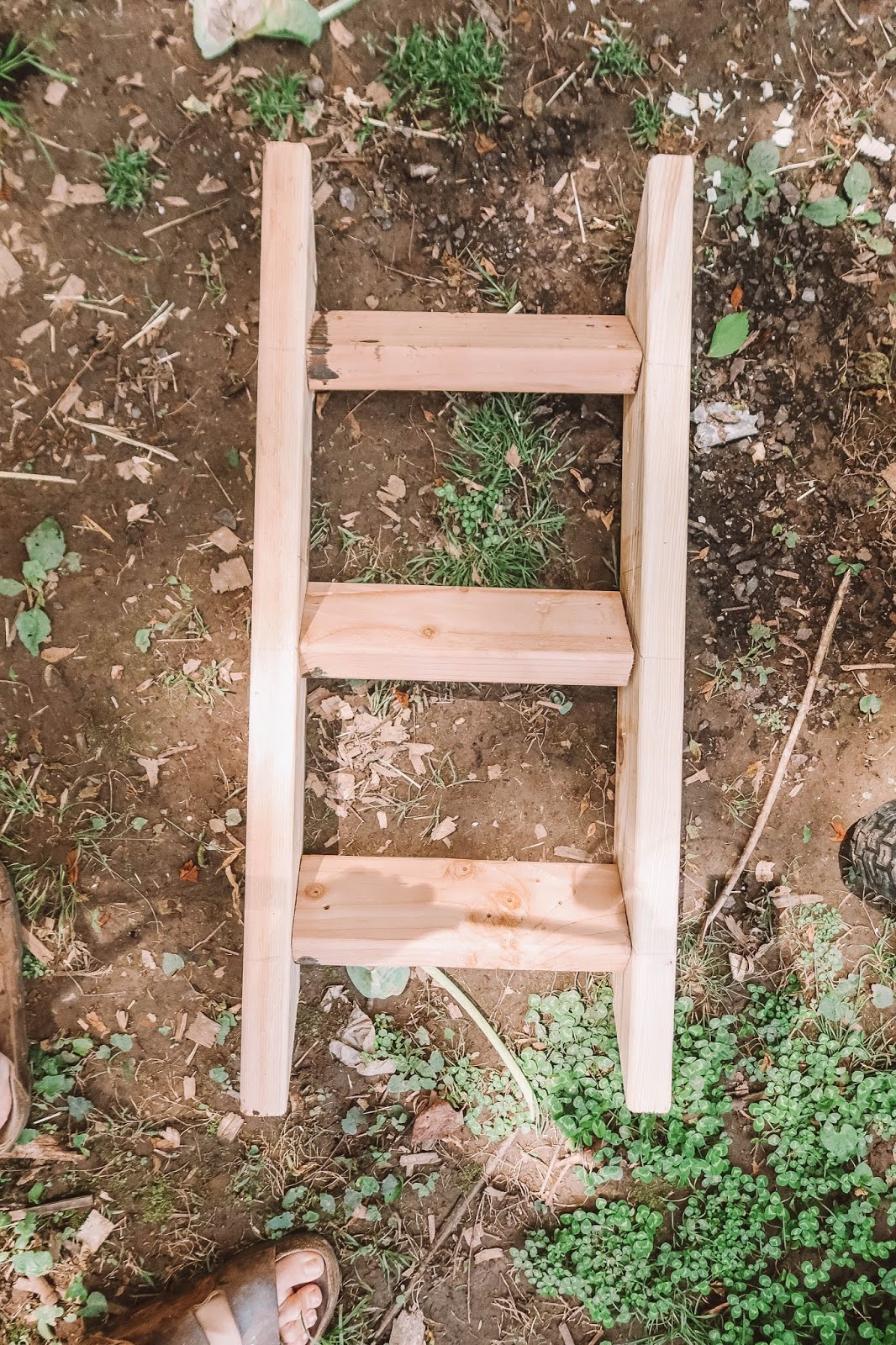 DIY Hinged Chicken Ladder Roost